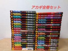 全巻セット】アカギ全巻 36巻セット ※送料無料 - メルカリ