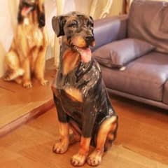 m43363935987_1.jpg?1761458898