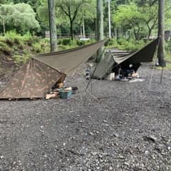 m43830388166_1.jpg?1712480061