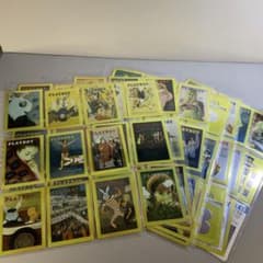 m54246375196_1.jpg?1722956365