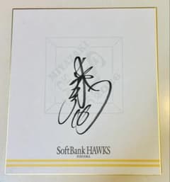 東浜巨 福岡ソフトバンクホークス 春季キャンプ 直筆サイン色紙 - メルカリ