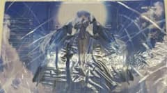 m54485748244_1.jpg?1735314851