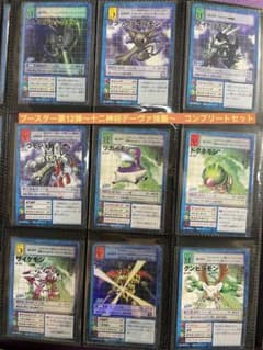 m54527745218_1.jpg?1699202337