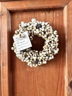 ころん。と可愛い(*^^*)ナンキンハゼリース - メルカリ