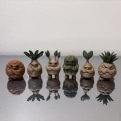多肉植物・塊根植物フィギュア XS サイズ 6体セット - メルカリ