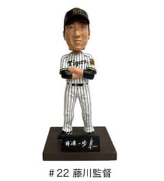 m55172145953_1.jpg?1757258104