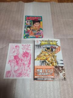 聖闘士星矢ロストキャンバス カプリコーン アニメイト 特典 ペーパー