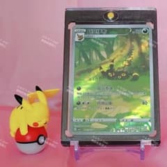 ポケモンカード ブラッキー AR 中国版 海外限定イラスト 宝可梦 ジェム