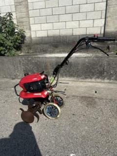 m56157211551_1.jpg?1761823879