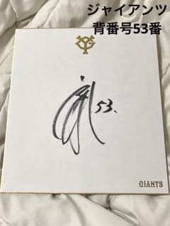 m56700940375_1.jpg?1754737038