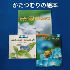 ビッグサイエンス キンダーブックしぜん かがくのとも だんごむしの