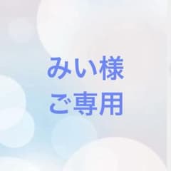 ⭐️ご購入前にコメントをお願いします 56 バラ苗 バラ挿し木苗 美しい