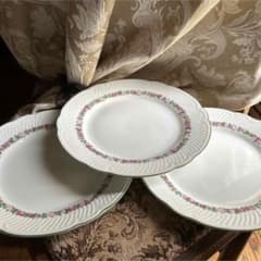 新品Richard Ginori laveno イタリアお花のディナー皿3枚 - メルカリ