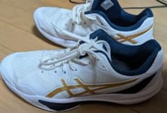 スカイエリートff3 26センチ 中古 - メルカリ