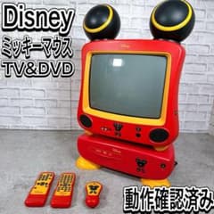Disney テレビ ディズニー ミッキーマウス 14型テレビ 当時 ブラウン管