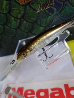 メガバス ito ポップX 初回出荷NEW GW琵琶湖ワカサギ 新品未開封