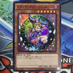 遊戯王 ブラックマジシャンガール イラスト 絵違い DP16 SR