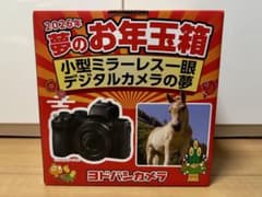 ヨドバシカメラ 夢のお年玉箱 2026 小型ミラーレス一眼デジタルカメラ