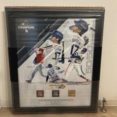 m51906379448_1.jpg?1740927049