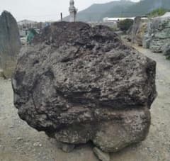 m52261432135_1.jpg?1747535619