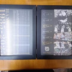 阪神タイガース90周年記念ピンバッジセット 2025年間予約席シーズン