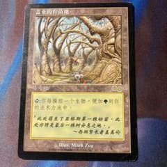 Mtg ガイアの揺籃の地 中国語 簡体字 - メルカリ