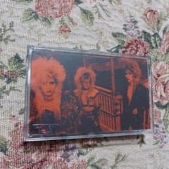 m65128675813_1.jpg?1720019086