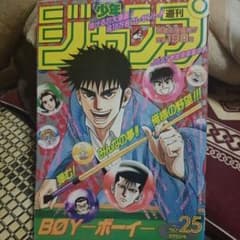 少年ジャンプ1995年25号 ドラゴンボール 最終話 状態 良好 - メルカリ