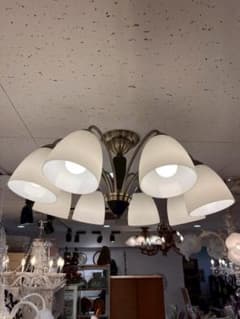 m66026655159_1.jpg?1766040870