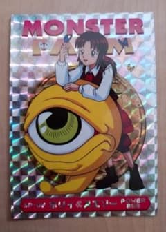 入手困難・美品】ホリィ&スエゾー 11枚カードセット モンスター