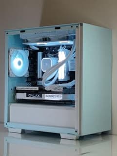 m66255078295_1.jpg?1710820107