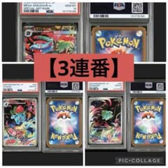 PSA10・3連番】 フシギダネ 進化ライン - メルカリ