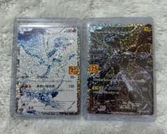 レシラム ゼクロム 25th プロモカードパック セット - メルカリ