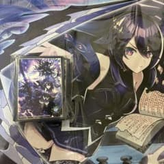 m68354684565_1.jpg?1757175351