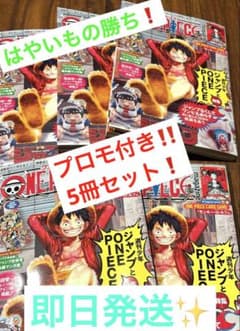 はやいもの勝ち❗️】ワンピースマガジン第20号 ルフィプロモ付 5冊