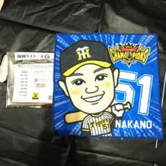 m69039308961_1.jpg?1702023611