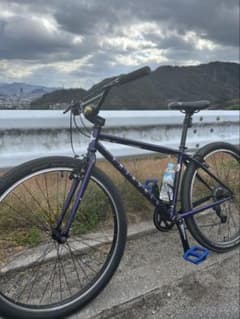 m69386534058_1.jpg?1758465710