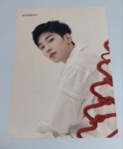 ウォヌ 24h フライヤー 渋谷タワレコ限定 SEVENTEEN セブチ レア