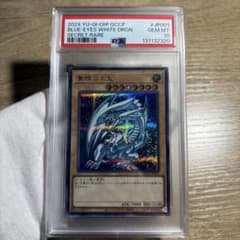 鑑定品 PSA10 】 極美品 世界327枚 青眼の白龍 シークレット シク