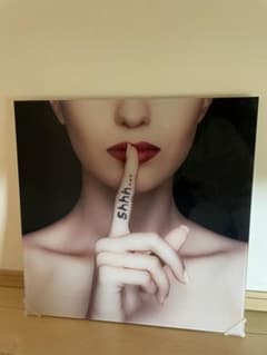 新品 フランフラン ディズニー プリンセス コラボ 壁紙 ベージュ 4本