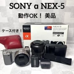 T010 SONY ソニー α NEX-5 ダブルレンズキット シャッター回数少