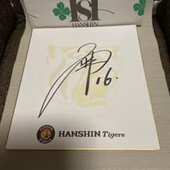 m61636431114_1.jpg?1754397473