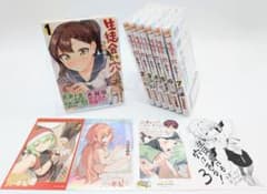 m61895874808_1.jpg?1727535938