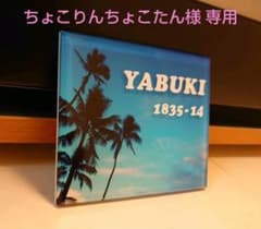 ちょこりんちょこたん様専用＊青空とヤシの木背景アクリル表札＊45度