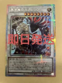 黒き竜のエクレシア プリズマティックシークレットレア プリシク