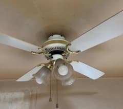 m74005173988_1.jpg?1736590897