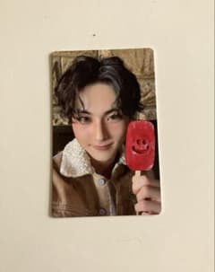 ENHYPEN THE SIN : VANISH トレカ ジョンウォン - メルカリ