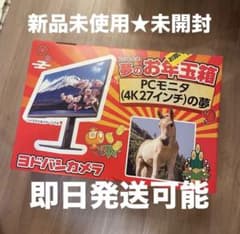 ☆新品未使用・未開封☆ヨドバシカメラ 2026 福箱/福袋 4KPCモニタの夢