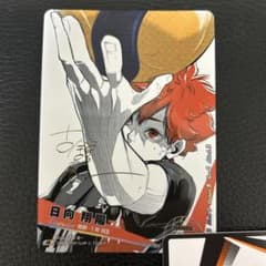 し*ん様 ［最終値下げオークション］バボカ日向翔陽 ハイキュー極