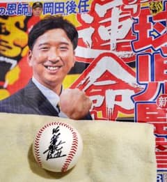 m76085299491_1.jpg?1729058097